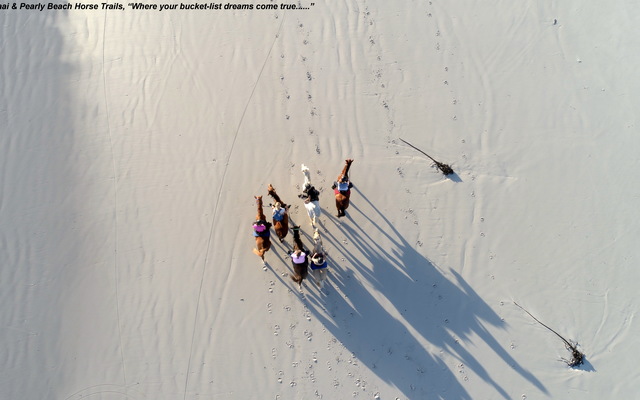 Gansbaai & Pearly Beach Horse Trails