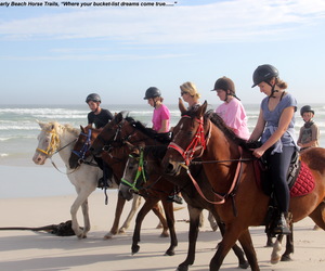 Your Trail Photo Package