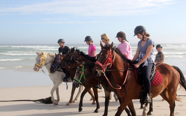 Gansbaai & Pearly Beach Horse Trails