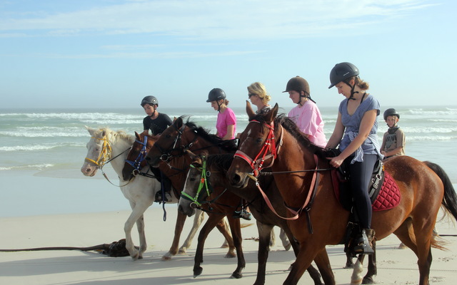 Gansbaai & Pearly Beach Horse Trails