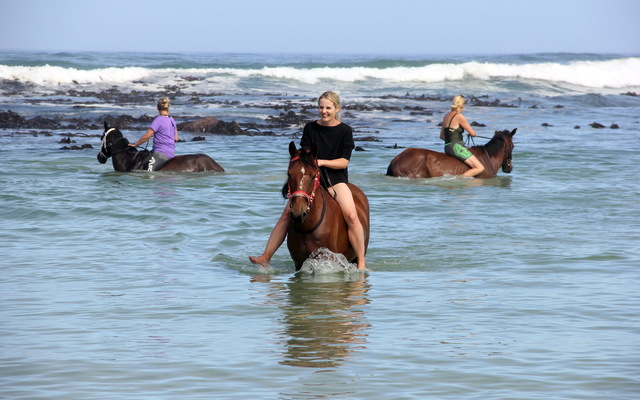 Gansbaai & Pearly Beach Horse Trails