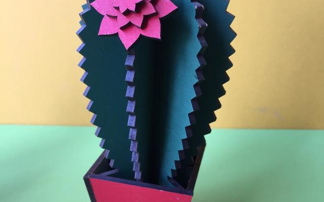 WhatsApp_Image_2019_03_27_at_12.00.12_1553687893