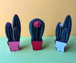 Cacti Crazy!
