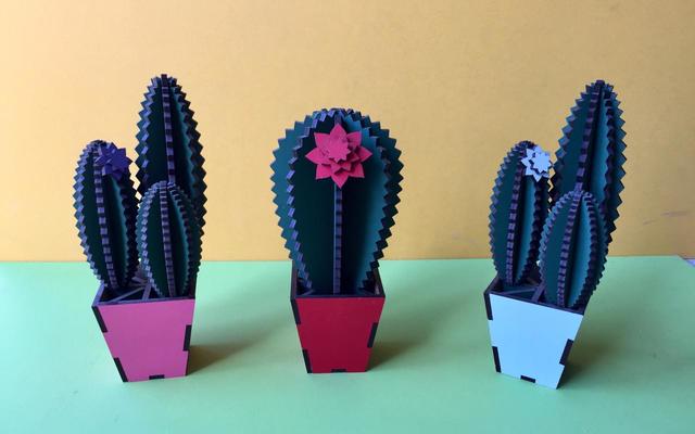 WhatsApp_Image_2019_03_27_at_12.00.12_1_1553687893