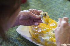 bredasdorpspecial_restaurants_fiddlers_pub_and_grill_eating_snails_1553694444