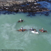 Gansbaai & Pearly Beach Horse Trails