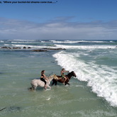 Gansbaai & Pearly Beach Horse Trails