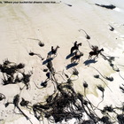 Gansbaai & Pearly Beach Horse Trails