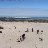 Gansbaai & Pearly Beach Horse Trails