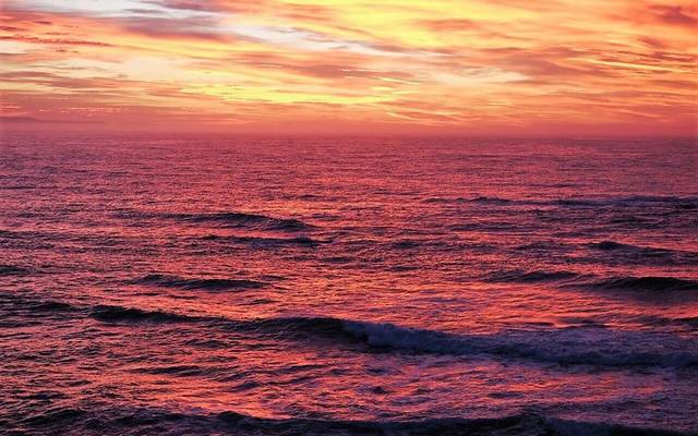 53050707_1137836716375848_2848938844949053440_n_1554111416