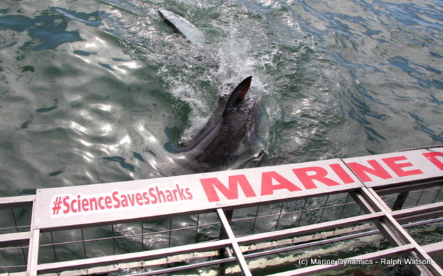 20190401_SF_Trip1_RWatson_IMG037_1554120498