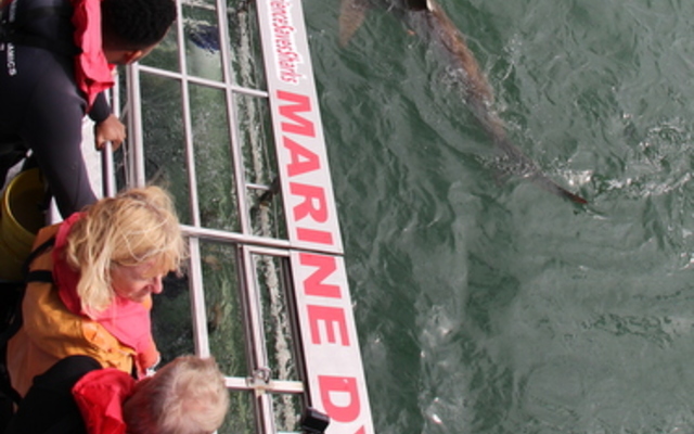 20190401_SF_Trip1_RWatson_IMG149_1554120500