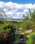 Goodwill Mountain Farm - Prayer & Intention