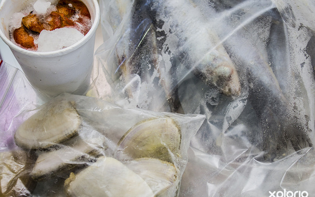 pringle_bay_retail_pringle_bay_minimart_bait_for_fishing_1535715089_1554277775