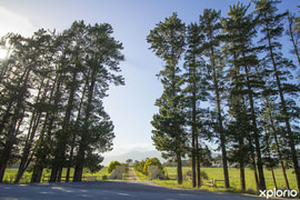 Activities in the Overberg