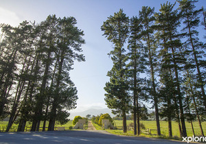 Activities in the Overberg