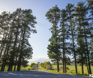 Activities in the Overberg