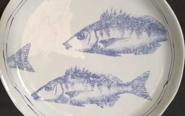 WhatsApp_Image_2019_04_05_at_11.36.01_1554460963