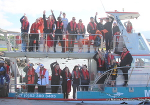 Daily Blog 11 April 2019 | Shark Cage Diving South Africa