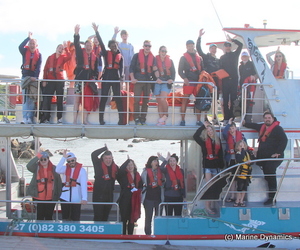 Daily Blog 11 April 2019 | Shark Cage Diving South Africa