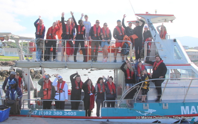 marine_dynamics_shark_cage_diving_experience_1555051198