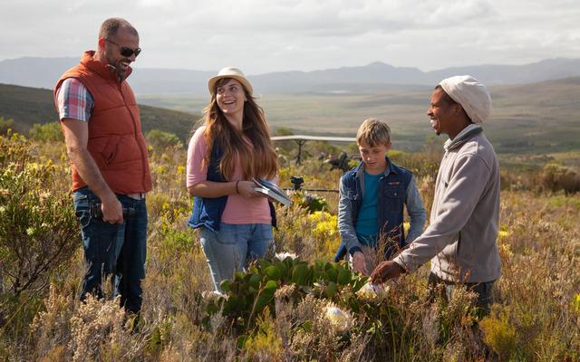 grootbos_private_nature_reserve_fynbos_1555065416 grootbos_private_nature_reserve_fynbos_1555065416