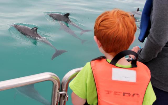 grootbos_private_nature_reserve_marine_big_5_1555065414 grootbos_private_nature_reserve_marine_big_5_1555065414
