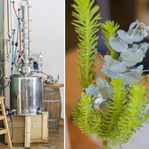 Stanford - Jolly Rooster - Distillery