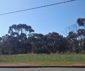 1,477m² Vacant Land For Sale in Bredasdorp