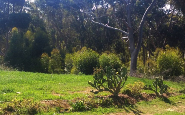 Seeff Bredasdorp - Large Plot For Sale