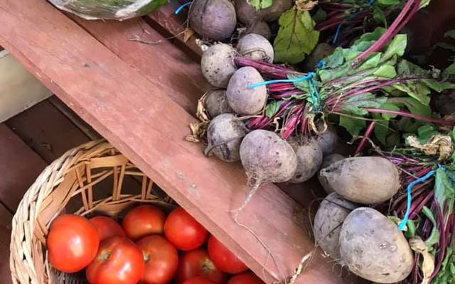 Napier Saturday Village Market - Fresh Veggies Napier Saturday Village Market - Fresh Veggies