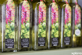 Freshest Farm Produce & Products