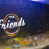 Gansbaai - Friends Pub - Fish Tank