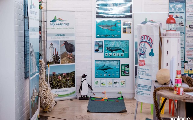 Gansbaai Tourism Bureau - Whale & Penguin Display