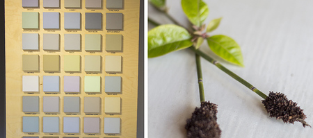 bredasdorp_building_construction_paint_shop_paintsmiths_dirty_pastels_colours_1556469858