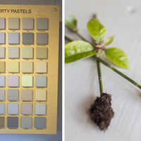 Bredasdorp - Paintsmiths - Paint Colour