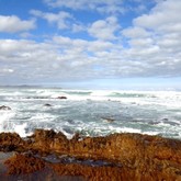 Seeff Pearly Beach - Sea