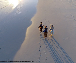 WIN a Premium Beach or Mountain Fynbos Trail