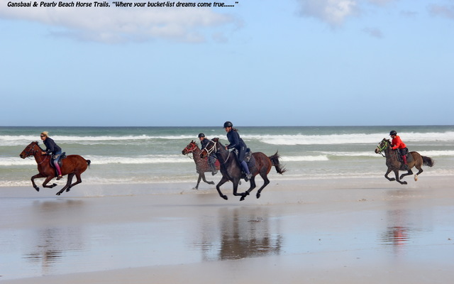 Gansbaai & Pearly Beach Horse Trails