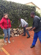 Tarchonanthus Littoralis Needed For Strong Winds