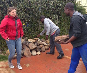 Tarchonanthus Littoralis Needed For Strong Winds