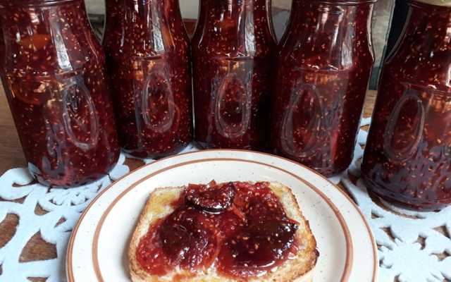 Morse Farmstall - Frog Jam