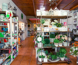 Coffee Shoppe - Homeware - Gifts