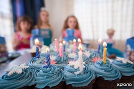 Freshly Frozen Cupcakes