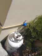 MCM Gas & Handyman Services