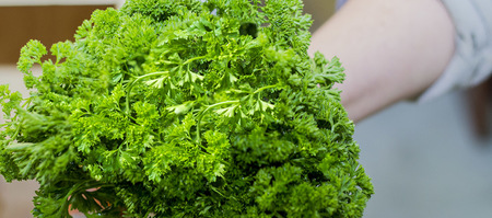 bredasdorp_general_markets_varsmark_herbs_1557902158