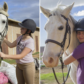 Bredasdorp - Pony Pals - Horses