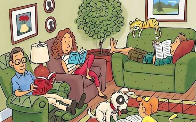 FB_IMG_1557514269397_1558020664