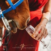 Gansbaai & Pearly Beach Horse Trails - Vow Renewal