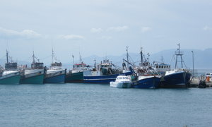 Front Page - Druk Feestyd verwag